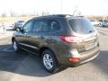 Cabo Bronze - Santa Fe GLS AWD Photo No. 5