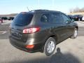 Cabo Bronze - Santa Fe GLS AWD Photo No. 7