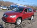 Wild Cherry Metallic - Tiguan SE 4Motion Photo No. 6