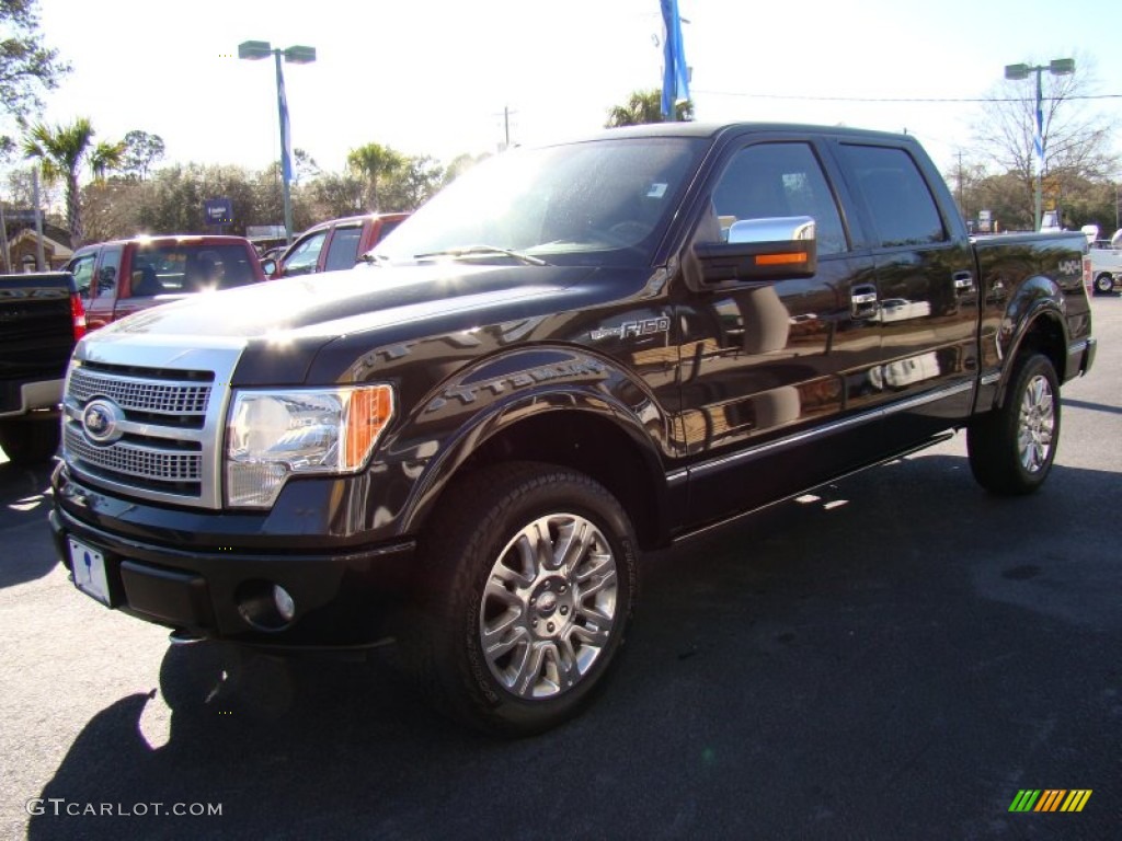 2010 F150 Platinum SuperCrew 4x4 - Tuxedo Black / Sienna Brown Leather/Black photo #4