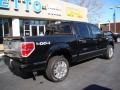 2010 Tuxedo Black Ford F150 Platinum SuperCrew 4x4  photo #8