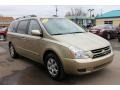 2006 Sunset Gold Kia Sedona LX  photo #19