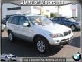 2004 Titanium Silver Metallic BMW X5 3.0i  photo #1