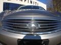 Platinum Graphite - G 37 x Sedan Photo No. 3