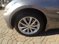Platinum Graphite - G 37 x Sedan Photo No. 19