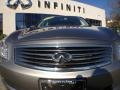 Platinum Graphite - G 37 x Sedan Photo No. 3