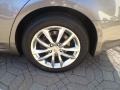 Platinum Graphite - G 37 x Sedan Photo No. 18