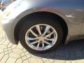 Platinum Graphite - G 37 x Sedan Photo No. 19