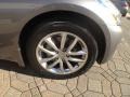 Platinum Graphite - G 37 x Sedan Photo No. 20