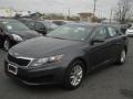 Platinum Graphite - Optima LX Photo No. 1