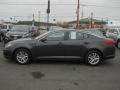 Platinum Graphite - Optima LX Photo No. 11