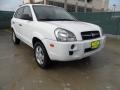 Nordic White 2007 Hyundai Tucson GLS