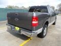 2005 Dark Shadow Grey Metallic Ford F150 XLT SuperCrew  photo #3