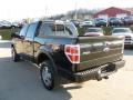 2010 Tuxedo Black Ford F150 FX4 SuperCrew 4x4  photo #2