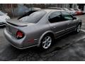 Gray Lustre Metallic - Maxima SE Photo No. 2
