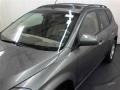 Platinum Metallic - Murano SL AWD Photo No. 21