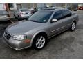 Gray Lustre Metallic - Maxima SE Photo No. 4