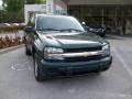 Emerald Jewel Metallic - TrailBlazer LS Photo No. 9