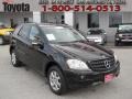 Black - ML 350 4Matic Photo No. 1