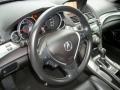 2009 Polished Metal Metallic Acura TL 3.7 SH-AWD  photo #19