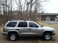 Bright Platinum Metallic - Durango SLT 4x4 Photo No. 8