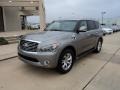 Platinum Graphite - QX 56 4WD Photo No. 1