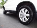 Taffeta White - CR-V EX-L 4WD Photo No. 6