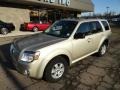 Gold Leaf Metallic - Mariner I4 4WD Photo No. 7