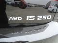 Obsidian Black - IS 250 AWD Photo No. 35