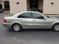 Pewter Metallic - E 320 Sedan Photo No. 5
