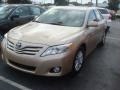 2010 Sandy Beach Metallic Toyota Camry XLE  photo #3