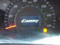Sandy Beach Metallic - Camry XLE Photo No. 16