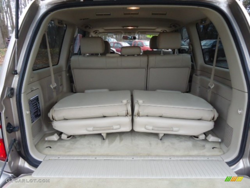 2005 Land Cruiser  - Sonora Gold Pearl / Ivory photo #11