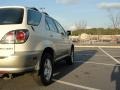 White Gold Crystal - RX 300 Photo No. 10