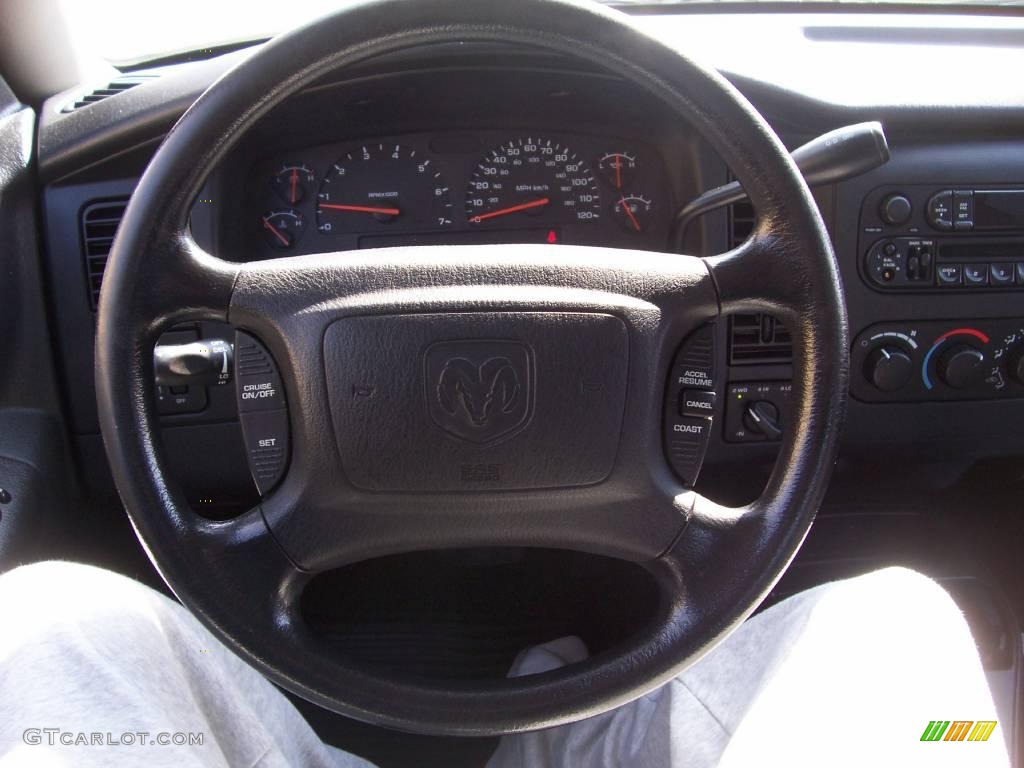 2004 Dakota SXT Quad Cab 4x4 - Bright Silver Metallic / Dark Slate Gray photo #5