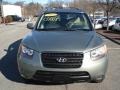 2007 Natural Khaki Green Hyundai Santa Fe GLS  photo #2