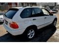Alpine White - X5 3.0i Photo No. 2