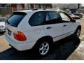 2001 Alpine White BMW X5 3.0i  photo #2