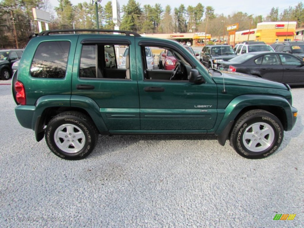 2004 Liberty Limited 4x4 - Timberline Green Pearl / Light Taupe/Taupe photo #3