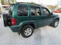 2004 Timberline Green Pearl Jeep Liberty Limited 4x4  photo #4