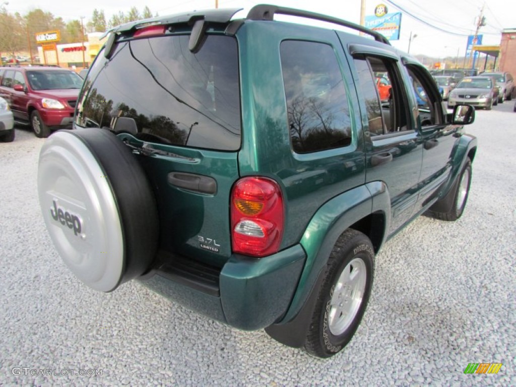 2004 Liberty Limited 4x4 - Timberline Green Pearl / Light Taupe/Taupe photo #5