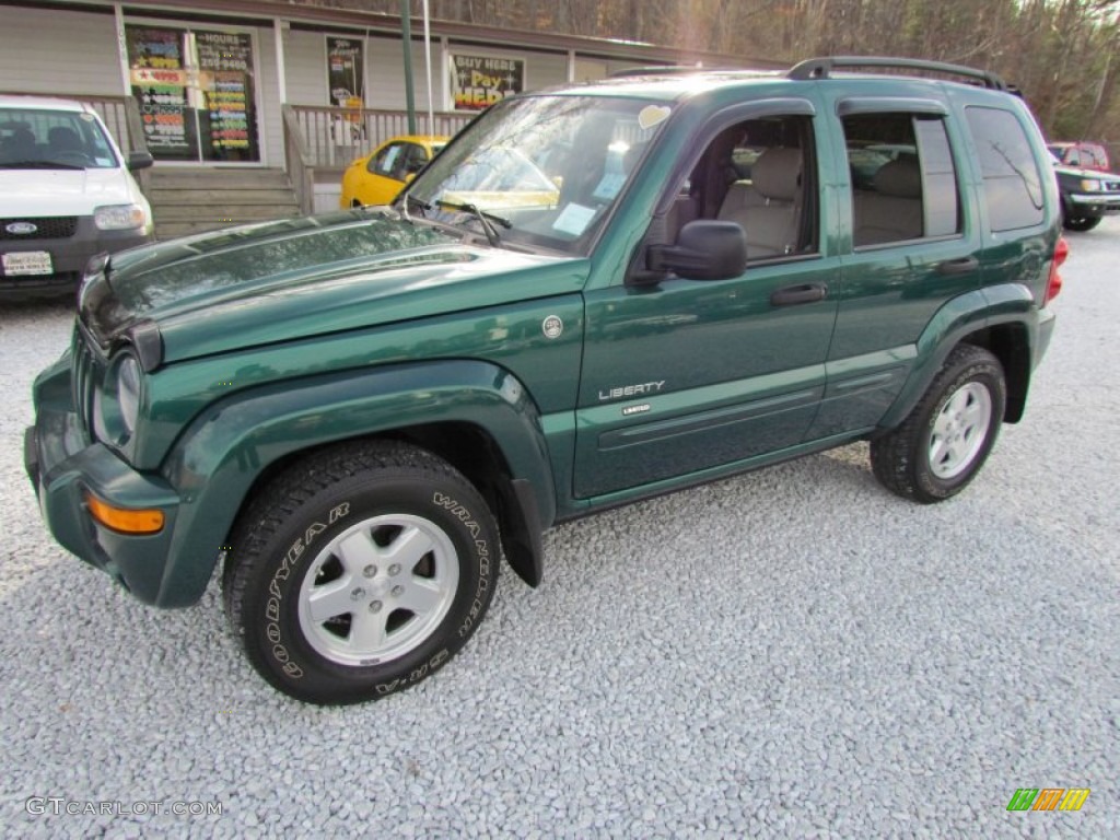 2004 Liberty Limited 4x4 - Timberline Green Pearl / Light Taupe/Taupe photo #10