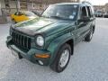 2004 Timberline Green Pearl Jeep Liberty Limited 4x4  photo #11