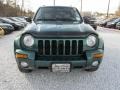 2004 Timberline Green Pearl Jeep Liberty Limited 4x4  photo #12