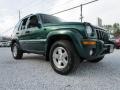 2004 Timberline Green Pearl Jeep Liberty Limited 4x4  photo #13