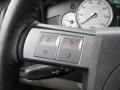 Linen Gold Metallic - 300 Touring Photo No. 29