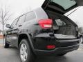 Black Forest Green Pearl - Grand Cherokee Laredo X Package Photo No. 9