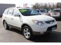 2010 Stone White Hyundai Veracruz Limited AWD  photo #19