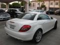 Arctic White - SLK 300 Roadster Photo No. 2