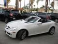 Arctic White - SLK 300 Roadster Photo No. 17